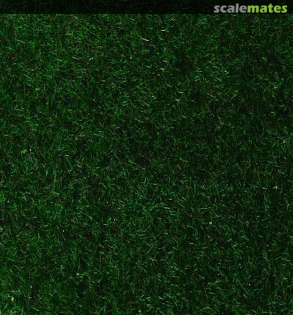 Boxart Static Grass: Moorland Grass 2-3 mm 3362 Heki Boxart Static Grass: Moorland Grass 2-3 mm 3362 Heki