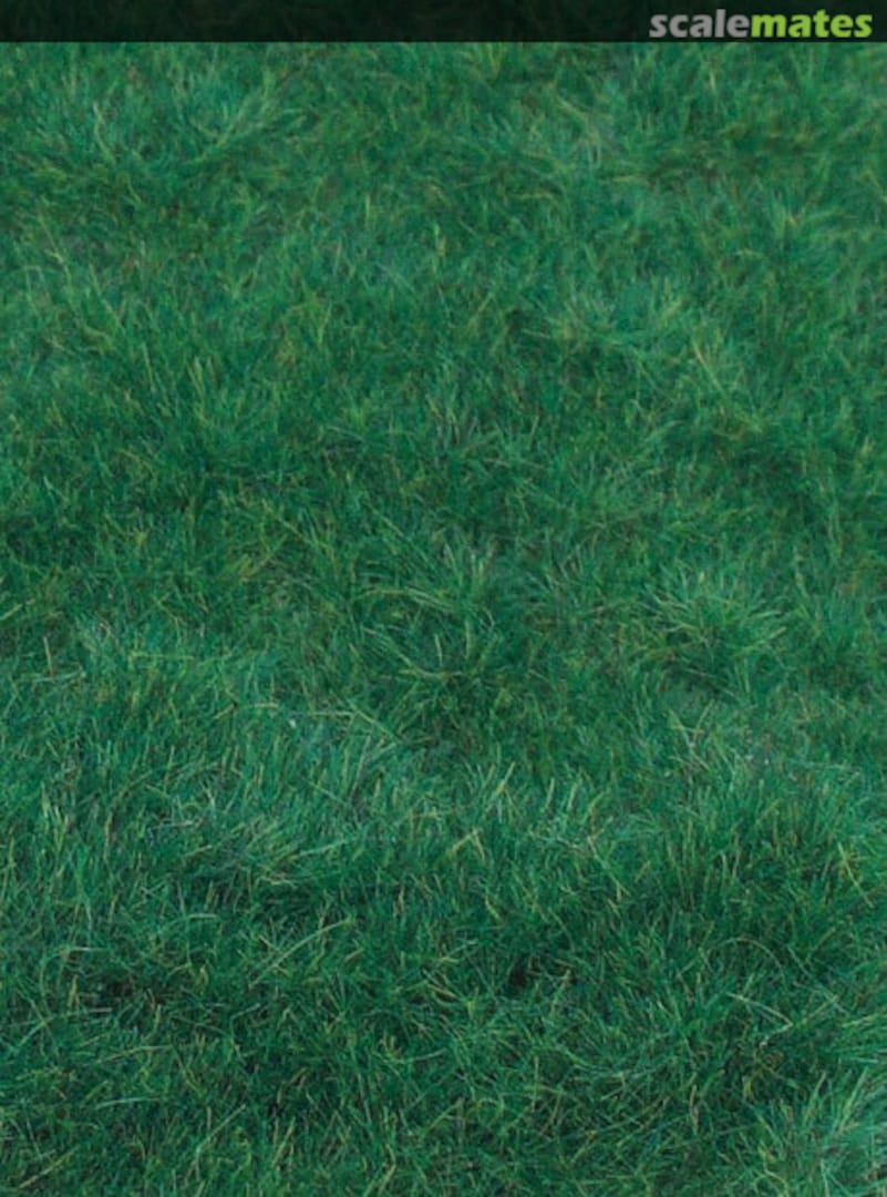 Boxart Wildgras dunkelgrün 75 g 5-6 mm 3369 Heki Boxart Wildgras dunkelgrün 75 g 5-6 mm 3369 Heki