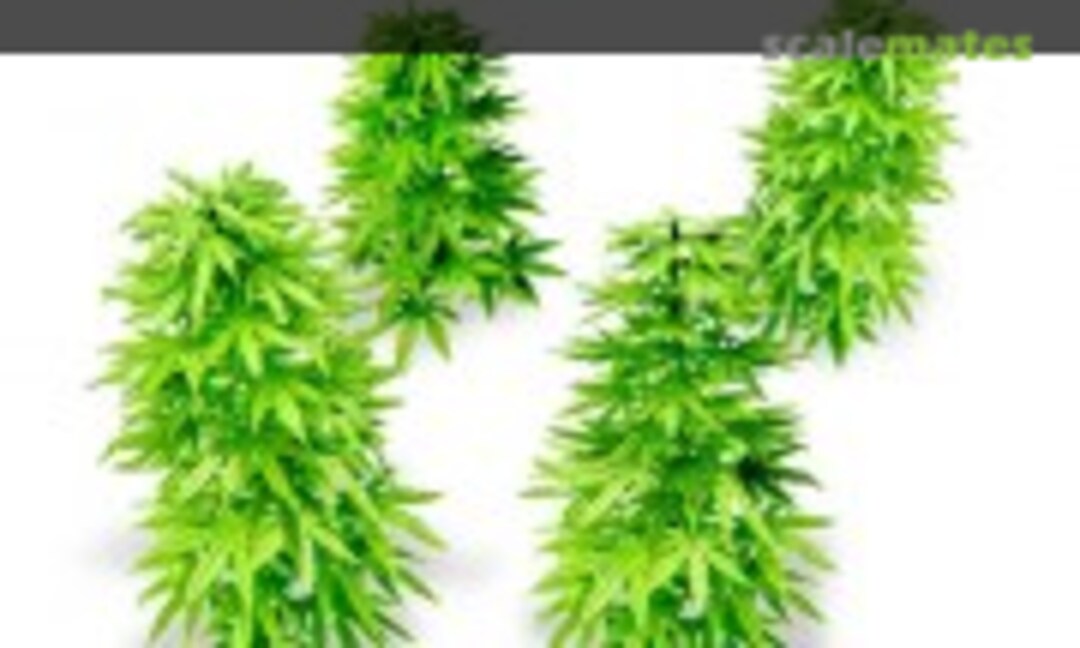 1:35 Cannabis Plant (Green Stuff World GSW 10448) GSW 10448