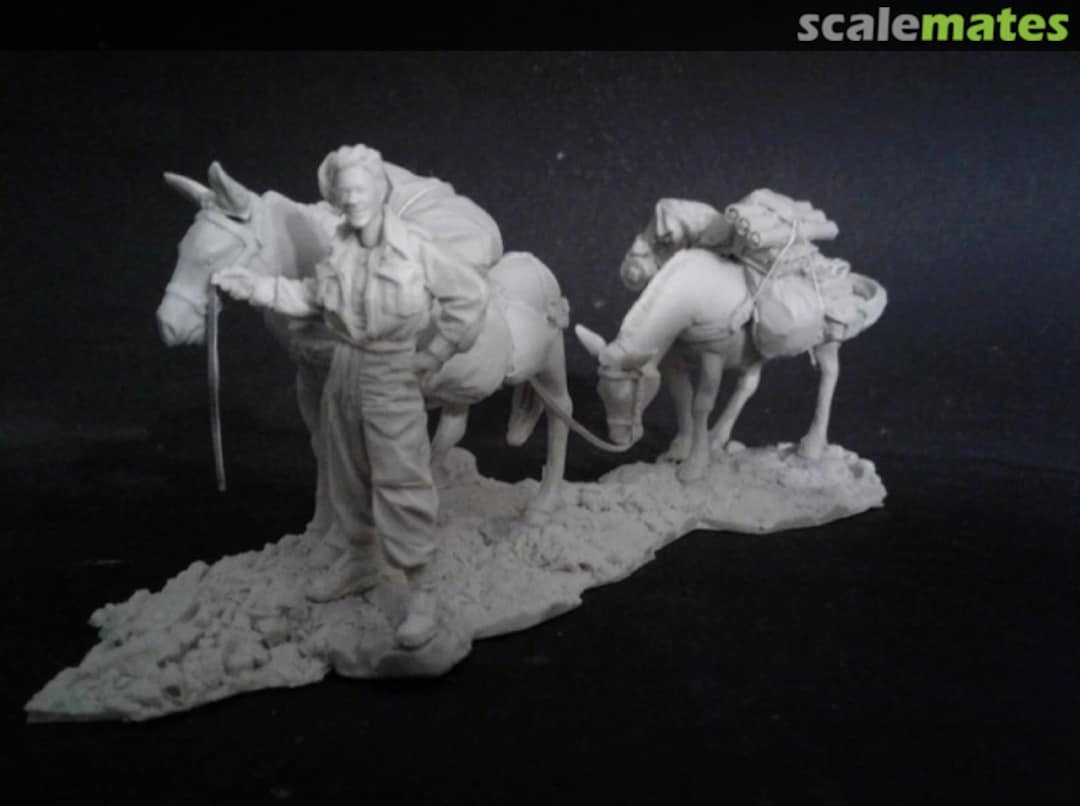 Boxart WWII Italian Campaign Kiwi Mulepacker ACM35060 AC Models