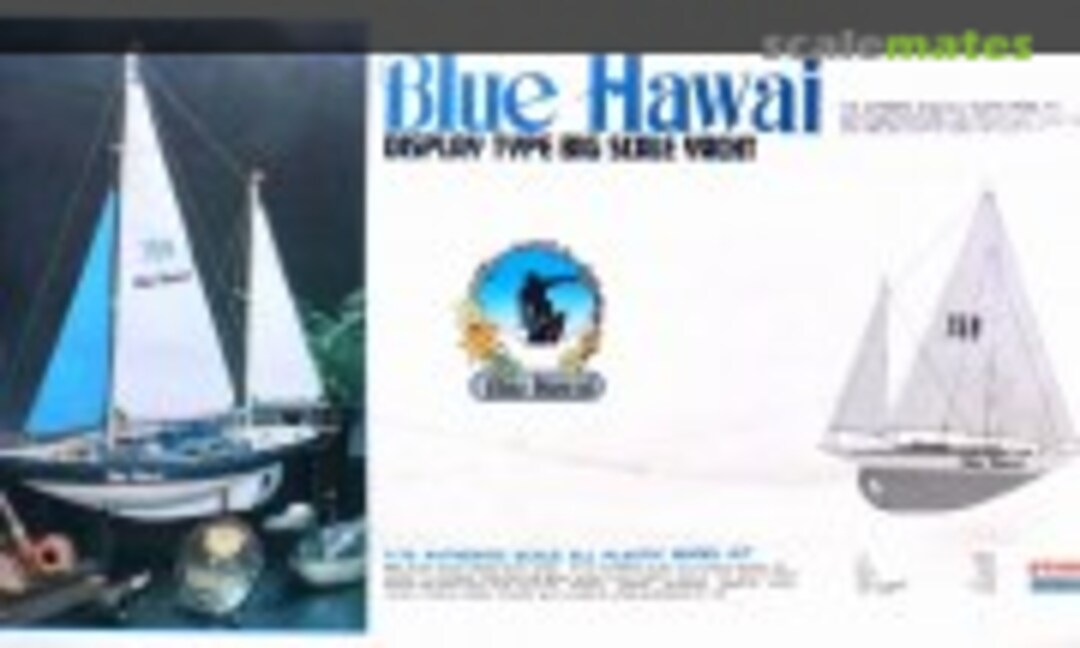 1:36 Blue Hawai (ARII A291)