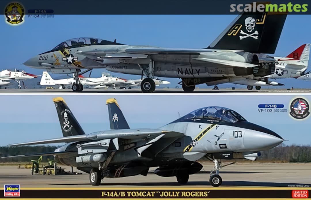 Boxart F-14A/B Tomcat (2 kits) 52146 Hasegawa