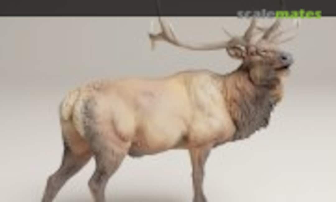 1:48 Rocky Mountain Elk - Male bugle (EMP3d 48130629) 48130629
