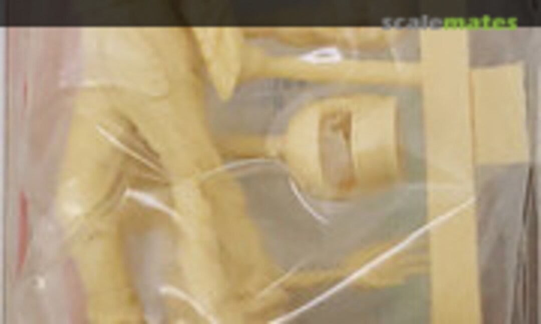 1:20 F1 Driver (MIX Hobby MX05-032) MX05-032