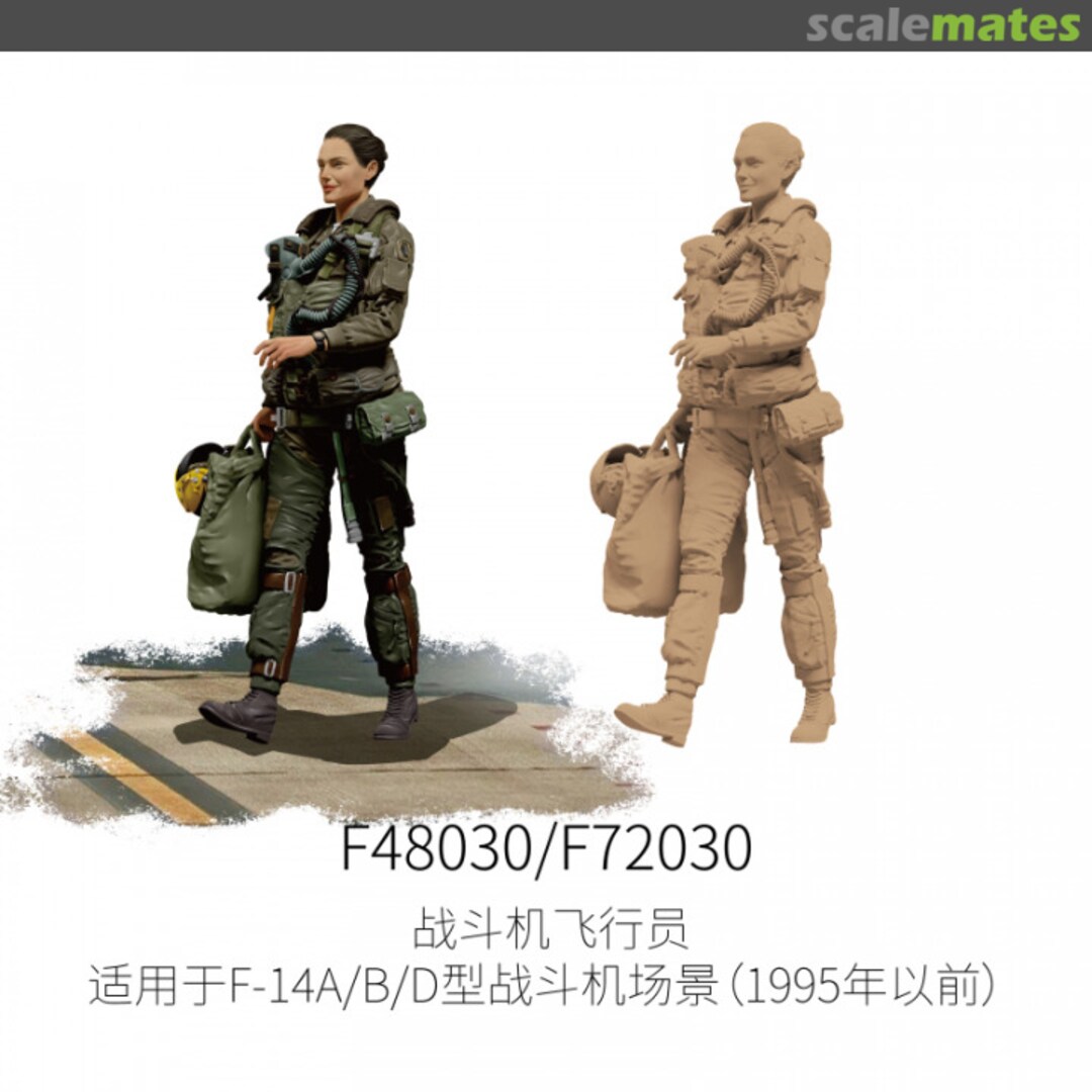 Boxart Fighter Pilot For F-14A/B/D (Before 1995) F48030 Galaxy Model