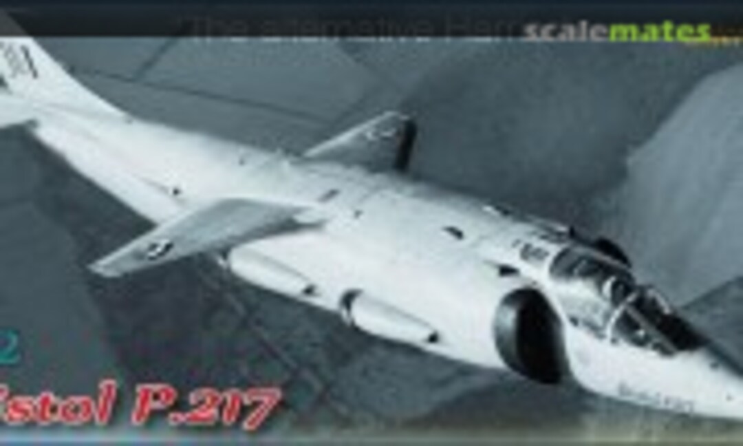 1:72 Bristol P.217 (Unicraft Models 72128) 72128