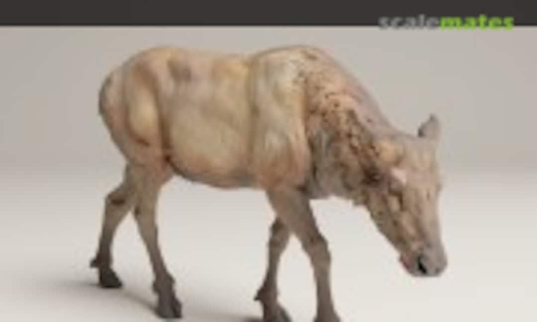 1:48 Rocky Mountain Elk - Female feeding (EMP3d 48130631) 48130631
