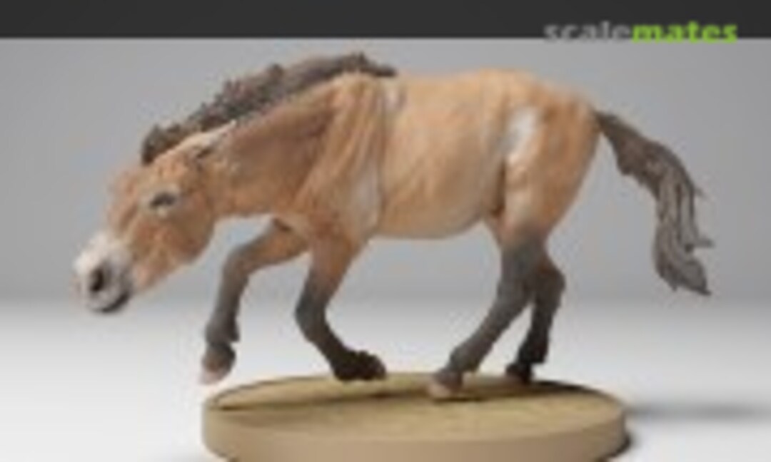 1:48 Przewalski Horse - Male running (EMP3d 48130708) 48130708