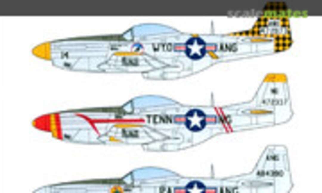1:48 Air National Guard P-51D (Caracal Models CD48113) CD48113