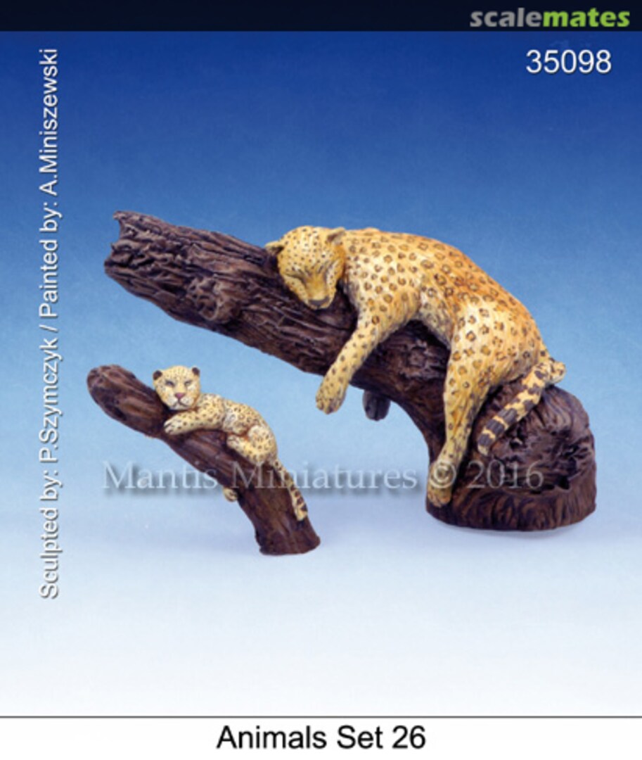 Boxart Cats - Animals Set - 26 35098 Mantis Miniatures