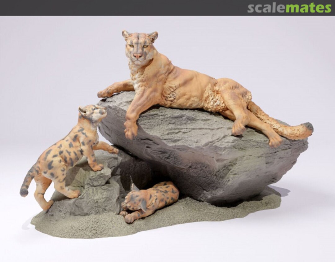 Boxart Puma (Cougar) - Female with cubs 48130711 EMP3d