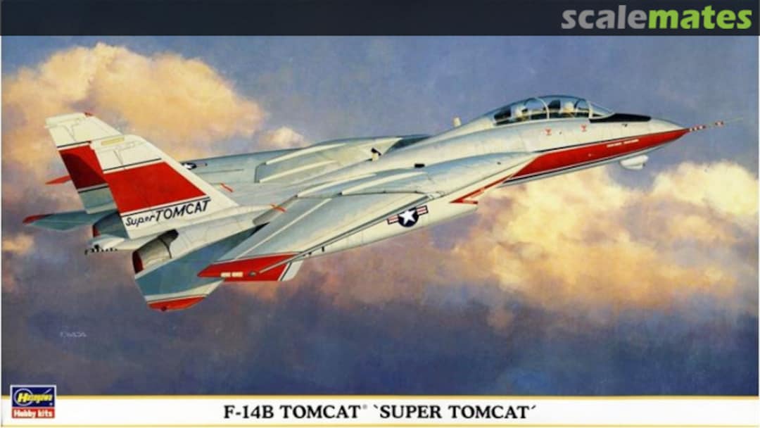 Boxart F-14B Tomcat `Super Tomcat´ 00898 Hasegawa Boxart F-14B Tomcat `Super Tomcat´ 00898 Hasegawa