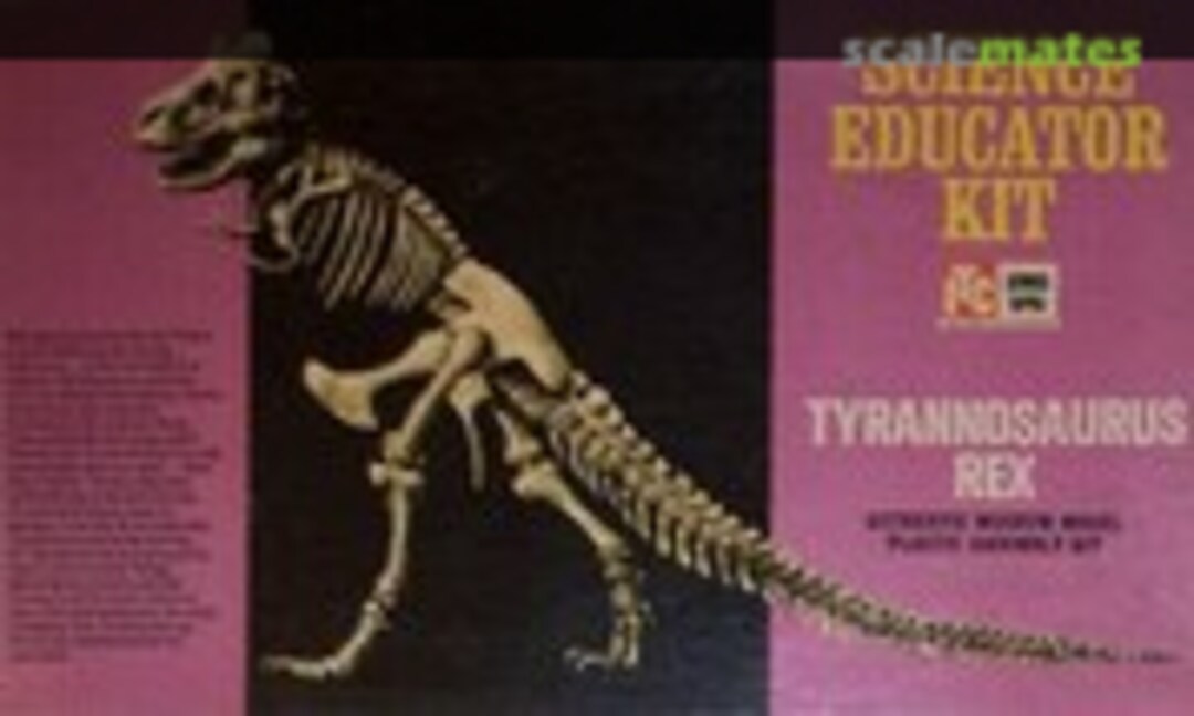 1:25 Tyrannosaurus Skeleton (ITC 3805)