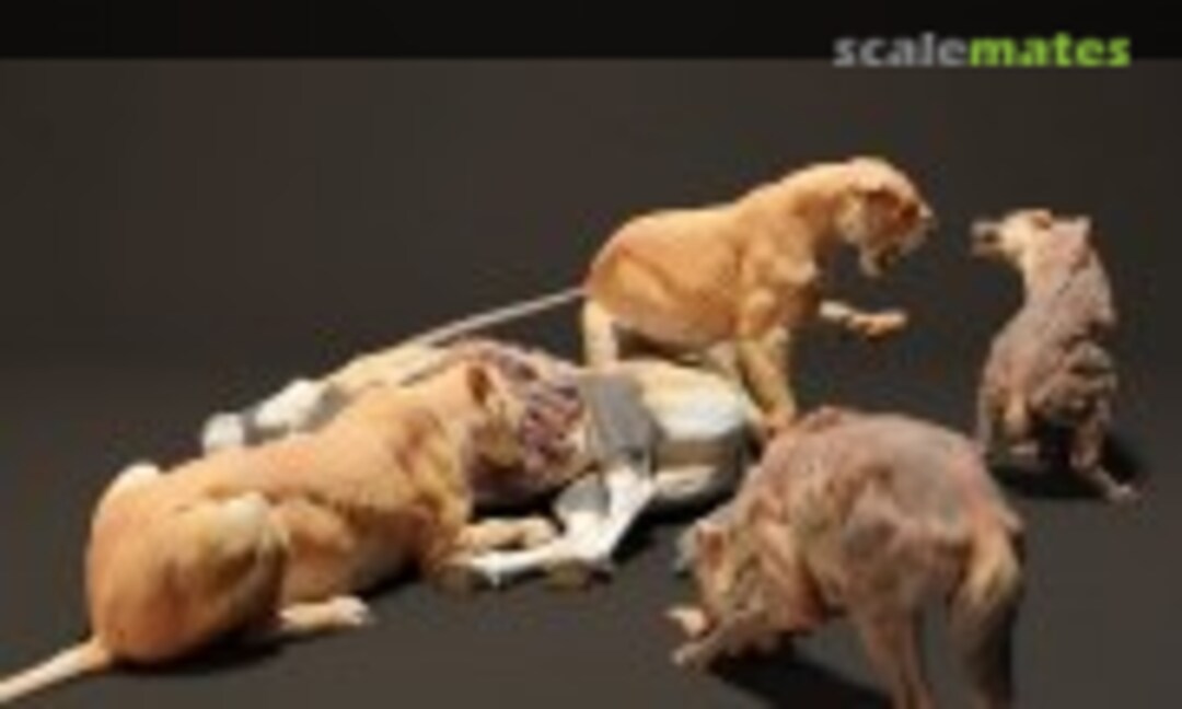 1:48 Lion - lionesses feasting vs hyenas - 1 set / 5 figures (EMP3d 48130705) 48130705