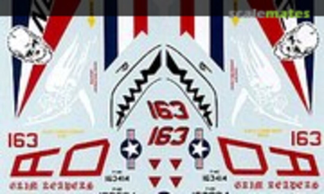 1:48 F-14D Tomcats (SuperScale International 48-896) 48-896