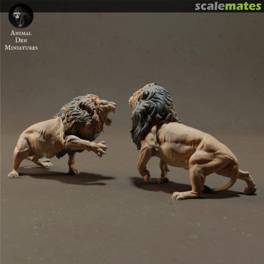 Boxart Lion - lions fighting - 1 set / 2 figures 48130706 EMP3d Boxart Lion - lions fighting - 1 set / 2 figures 48130706 EMP3d