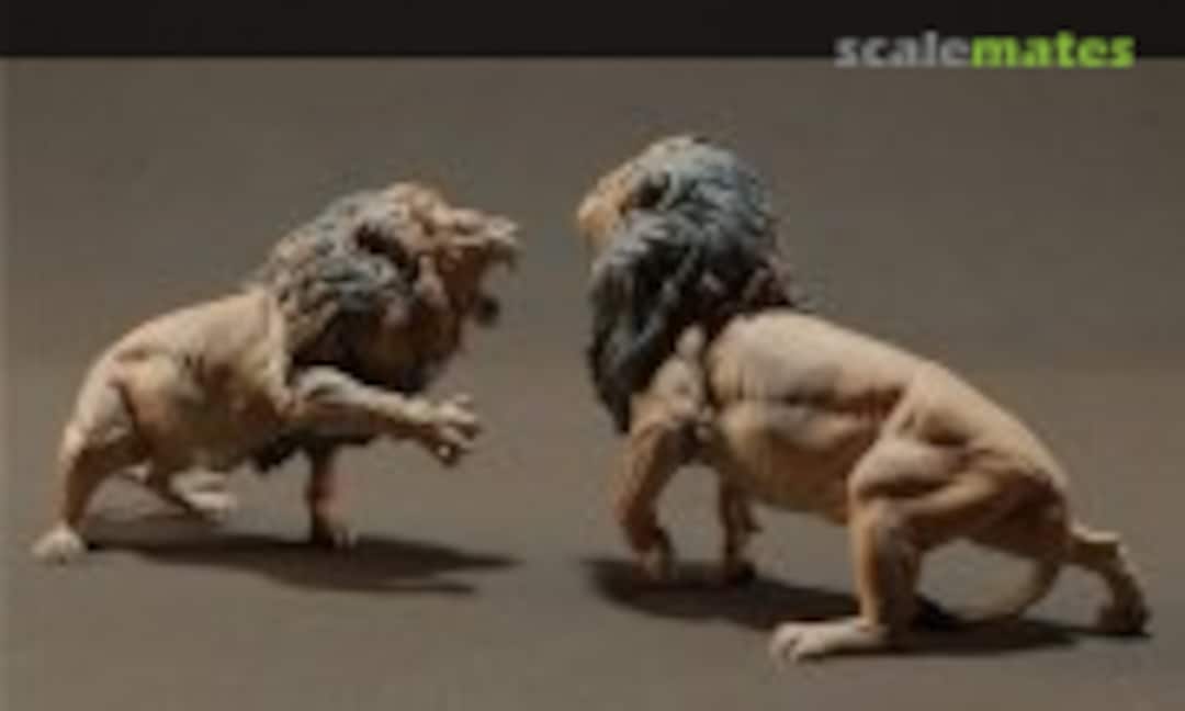 1:48 Lion - lions fighting - 1 set / 2 figures (EMP3d 48130706) 48130706