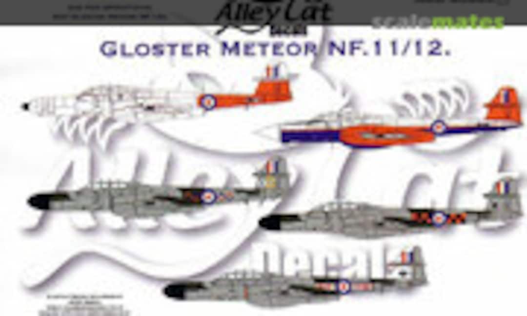 1:48 Gloster Meteor NF.11/12 (Alley Cat ACD-48003) ACD-48003