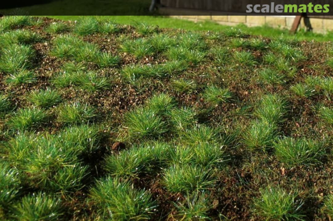 Boxart Dense Forest F600 Model Scene Boxart Dense Forest F600 Model Scene