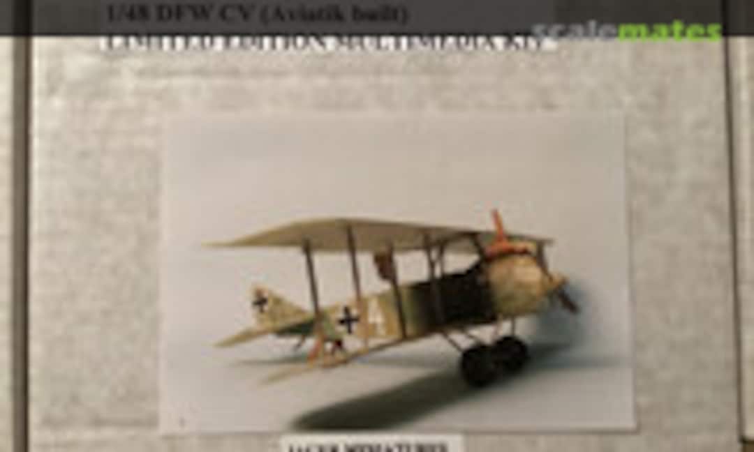 1:48 DFW C.V (Aviatik built) (Jager Miniatures )