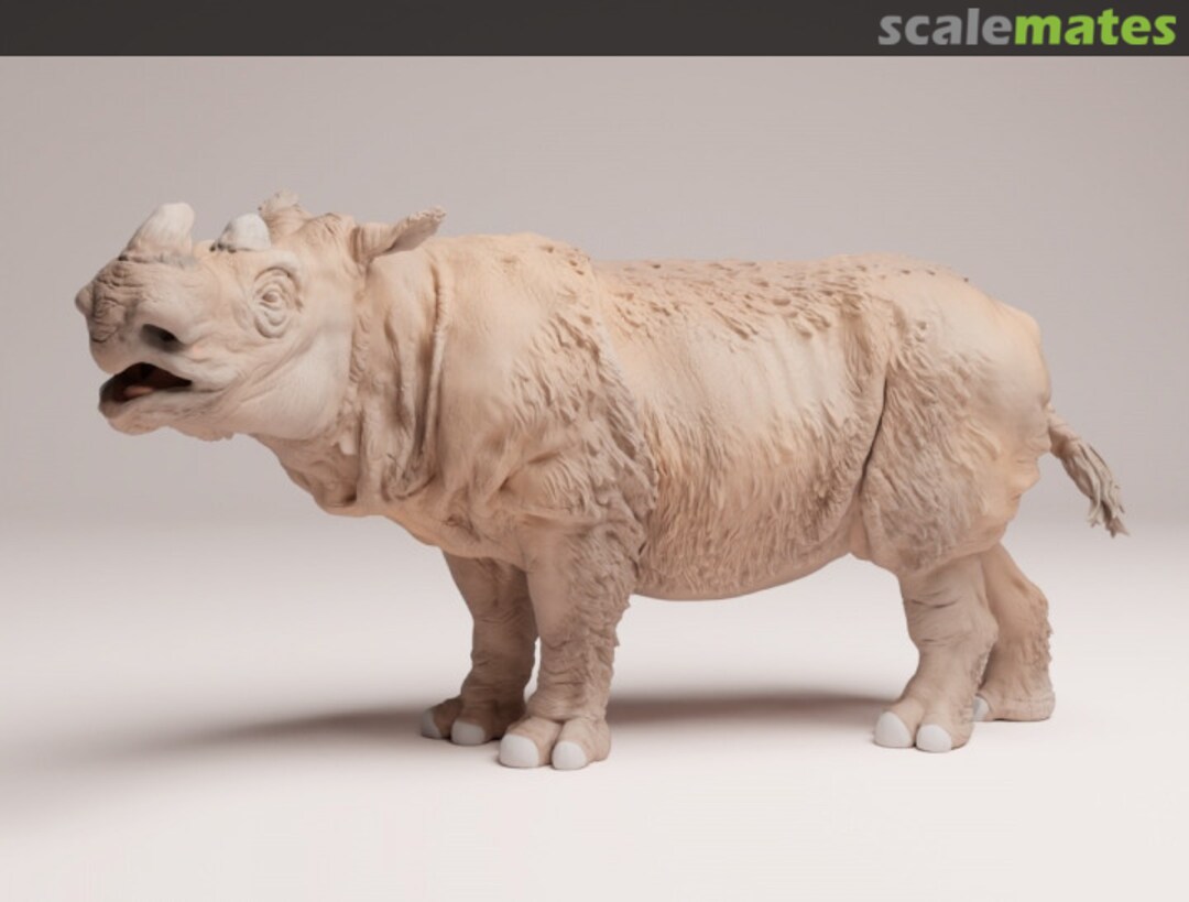 Boxart Sumatran Rhino - Male standing 48130723 EMP3d Boxart Sumatran Rhino - Male standing 48130723 EMP3d