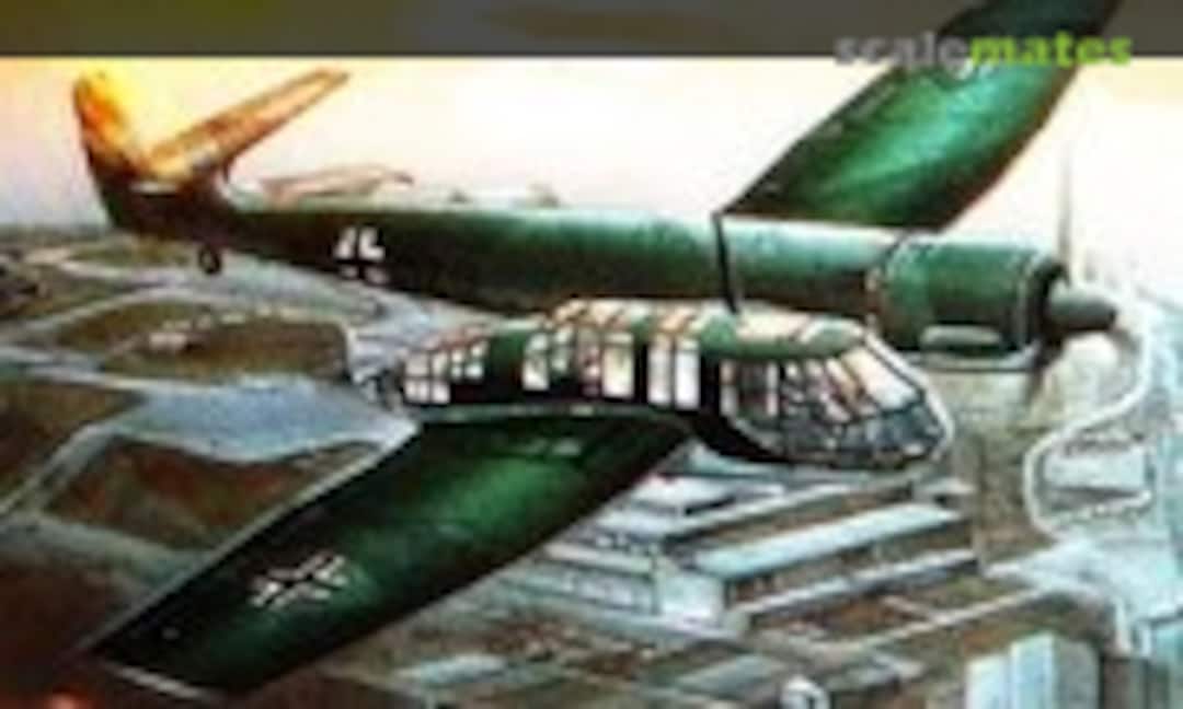 1:48 Bv 141B-0 (Karo As AM-48.02)