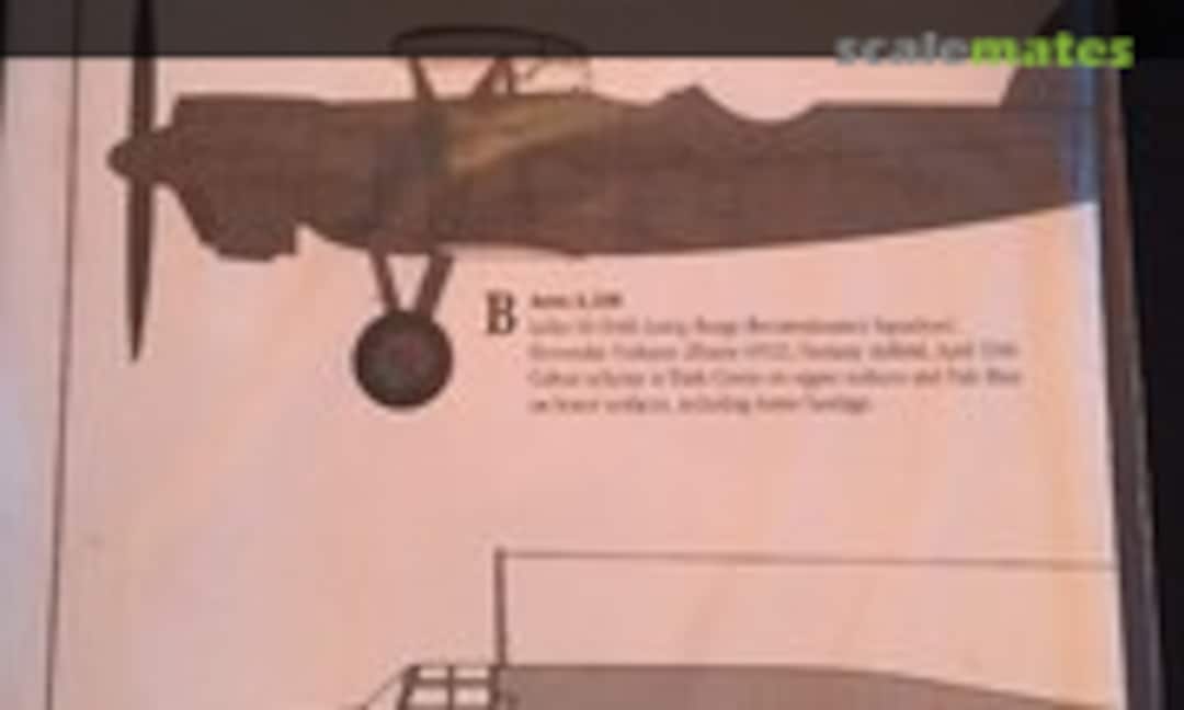 1:72 Slovak Aviation (Blue Rider BR238) BR238