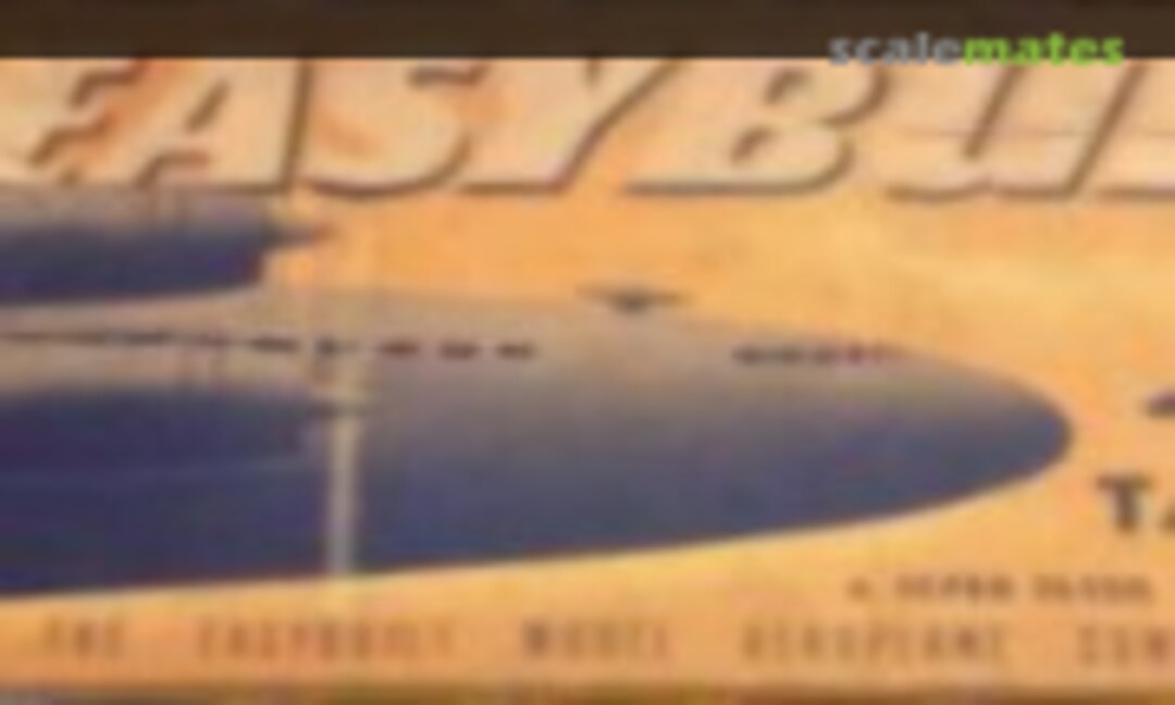 1:24 Taylor Cub (Easy Built Model Aeroplane Co. )