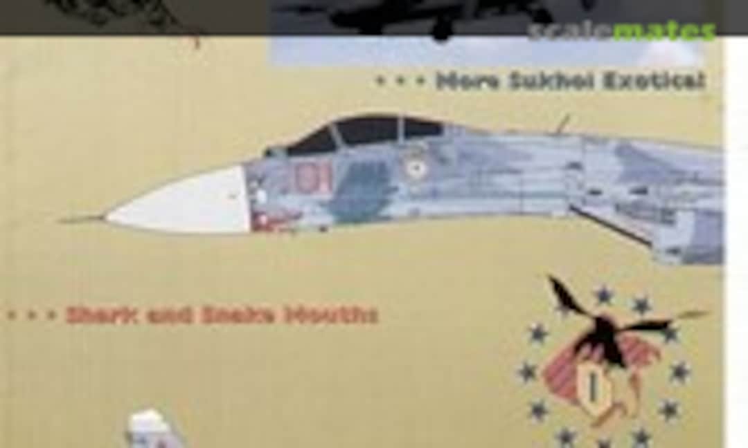 1:72 Flankers on Patrol 3 (Linden Hill Decals LHD72010) LHD72010