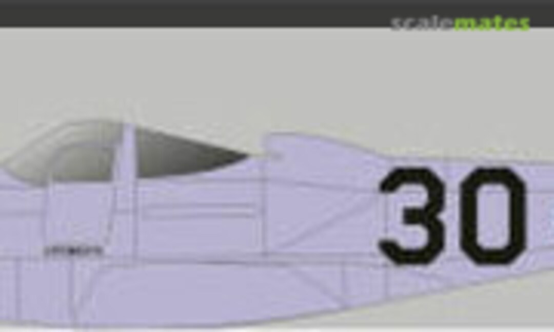 1:48 P-63C #30 Easter Egg 1949 (Red Pegasus Decals 30purple) 30purple