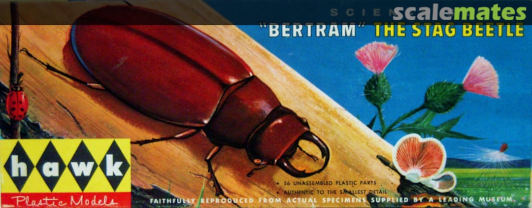 Boxart "Bertram" The Stag Beetle 516-98 Hawk Boxart "Bertram" The Stag Beetle 516-98 Hawk