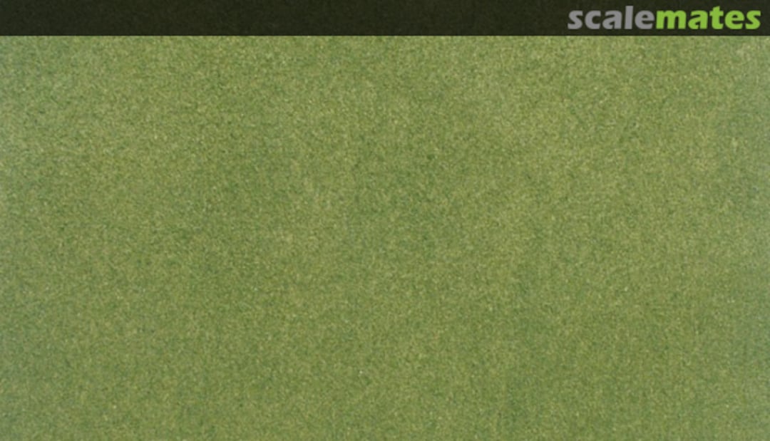 Boxart Spring Grass Project Sheet (31.7 cm x 35.8 cm) RG5141 Woodland Scenics Boxart Spring Grass Project Sheet (31.7 cm x 35.8 cm) RG5141 Woodland Scenics