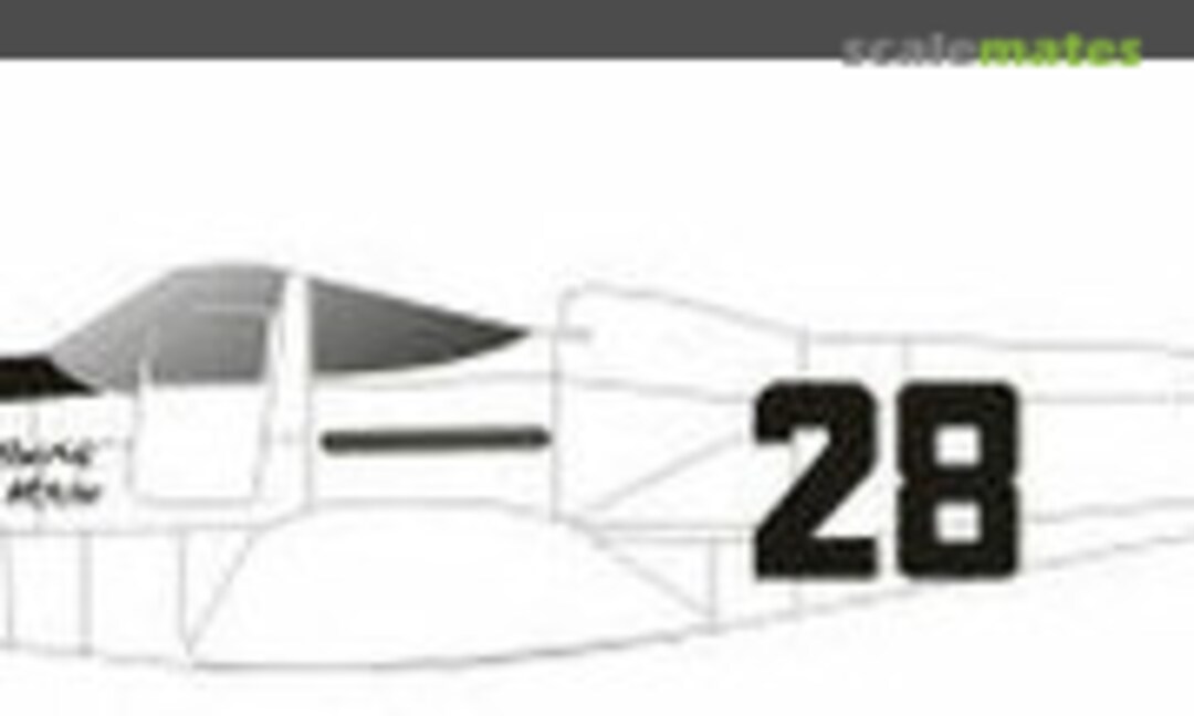 1:48 P-63C #28 Flying Red Horse Pylon 1946 (Red Pegasus Decals 28white) 28white