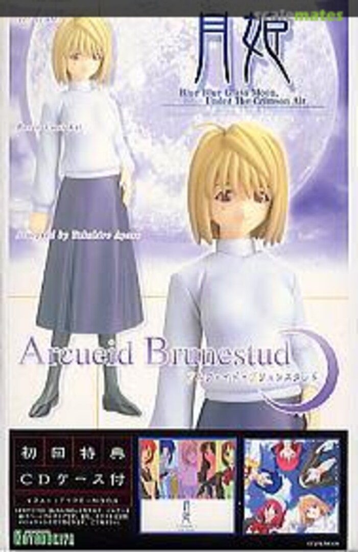 Boxart Arcueid Brunestud GG-62 Kotobukiya Boxart Arcueid Brunestud GG-62 Kotobukiya