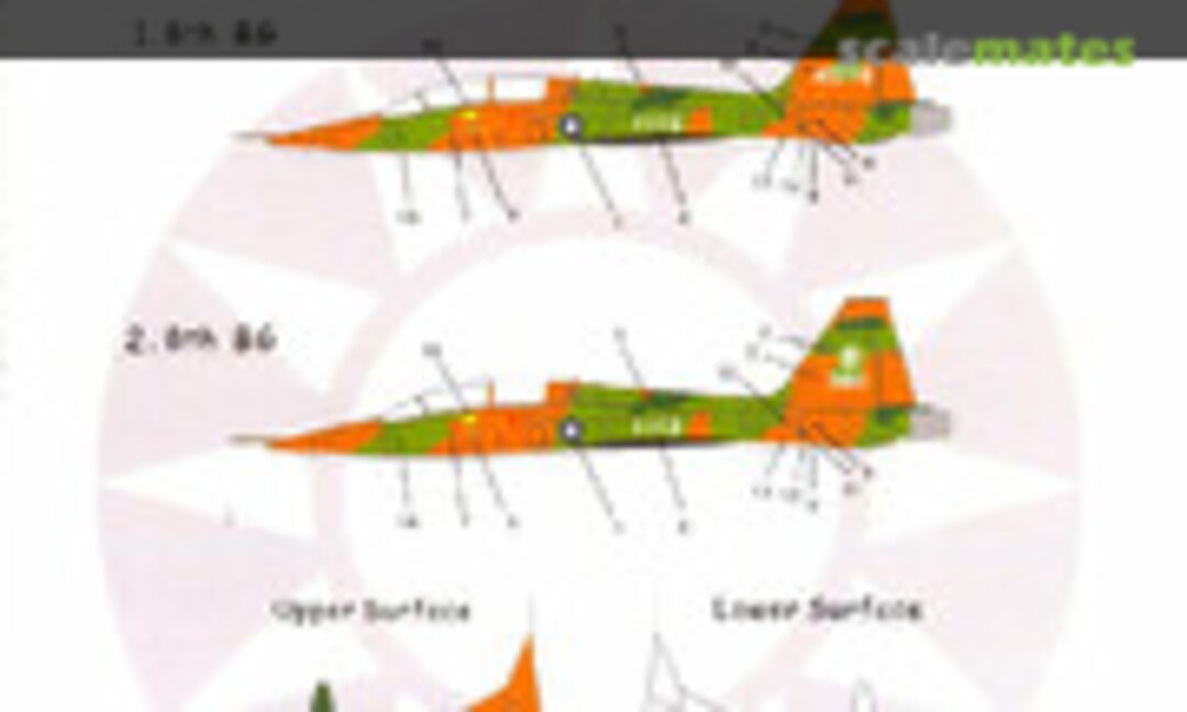1:48 NORTHROP F-5B FREEDOM FIGHTER Republic of China Air Force (Bestfong 48010) 48010