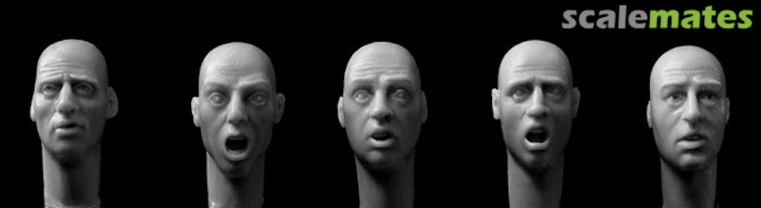 Boxart Bare Heads - anxious or frightened expression HH30 Hornet & Wolf Boxart Bare Heads - anxious or frightened expression HH30 Hornet & Wolf