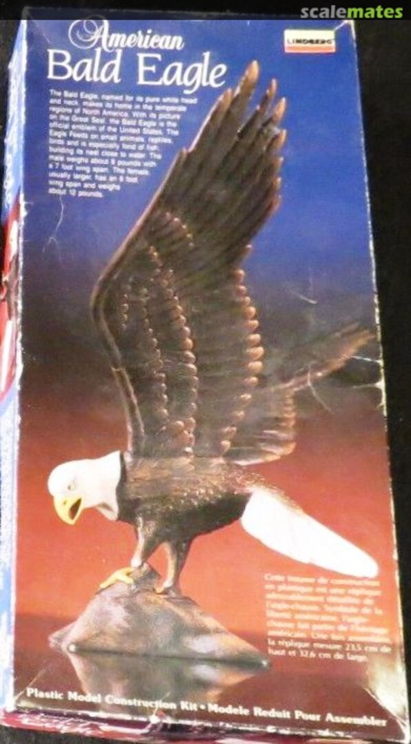 Boxart American Bald Eagle 315 Lindberg Boxart American Bald Eagle 315 Lindberg
