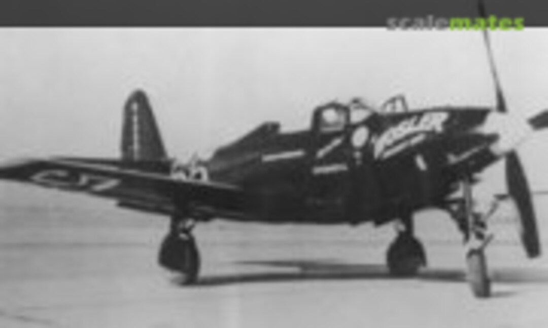 1:48 P-63C #55 Hosler 1948 (Red Pegasus Decals 55black) 55black