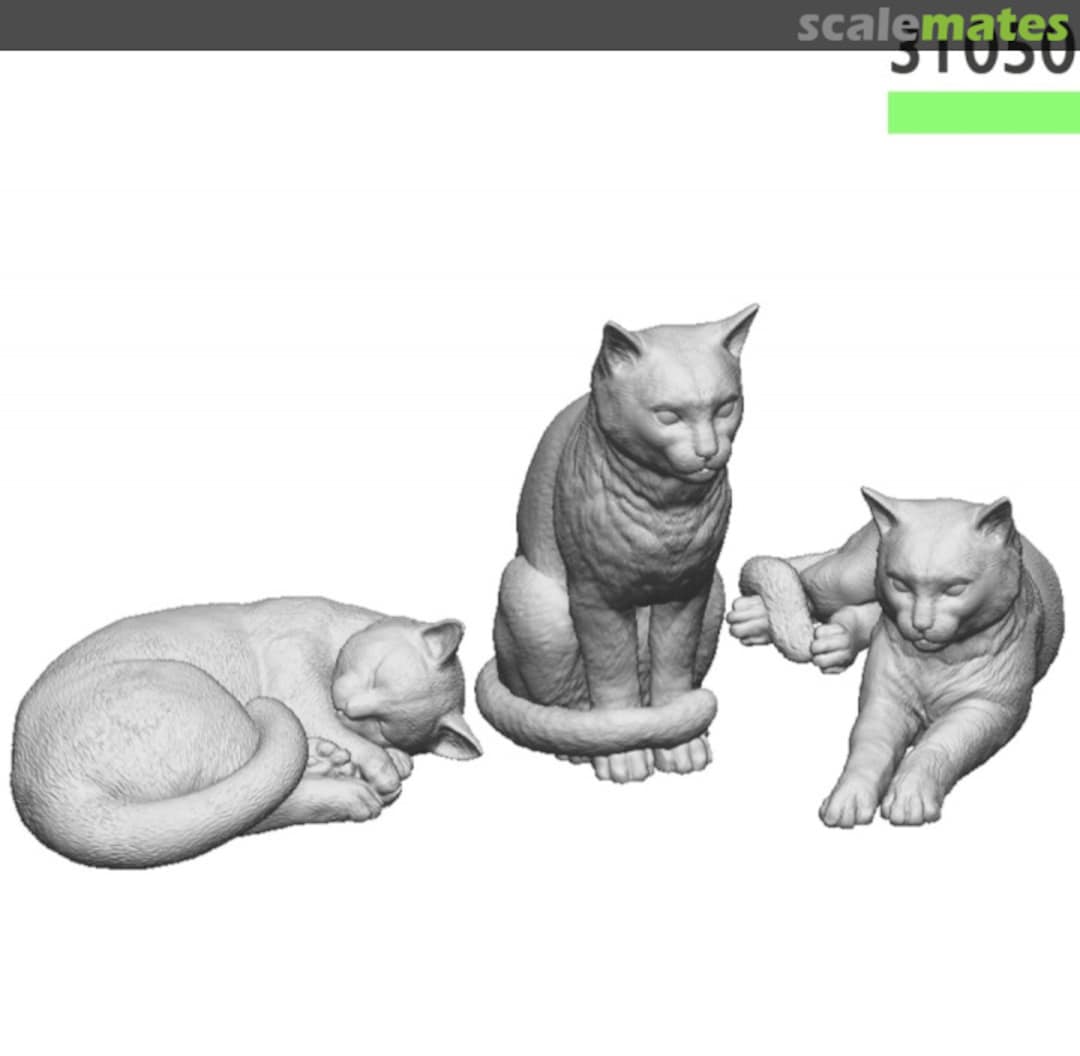 Boxart Tabby Cats (x3) 31050-024 Modelu Boxart Tabby Cats (x3) 31050-024 Modelu