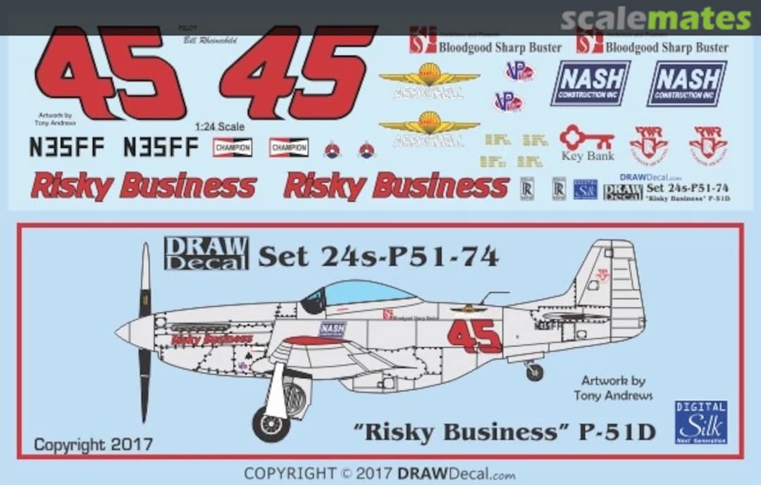 Boxart “Risky Business” P-51D 24-P51-74 Draw Decal