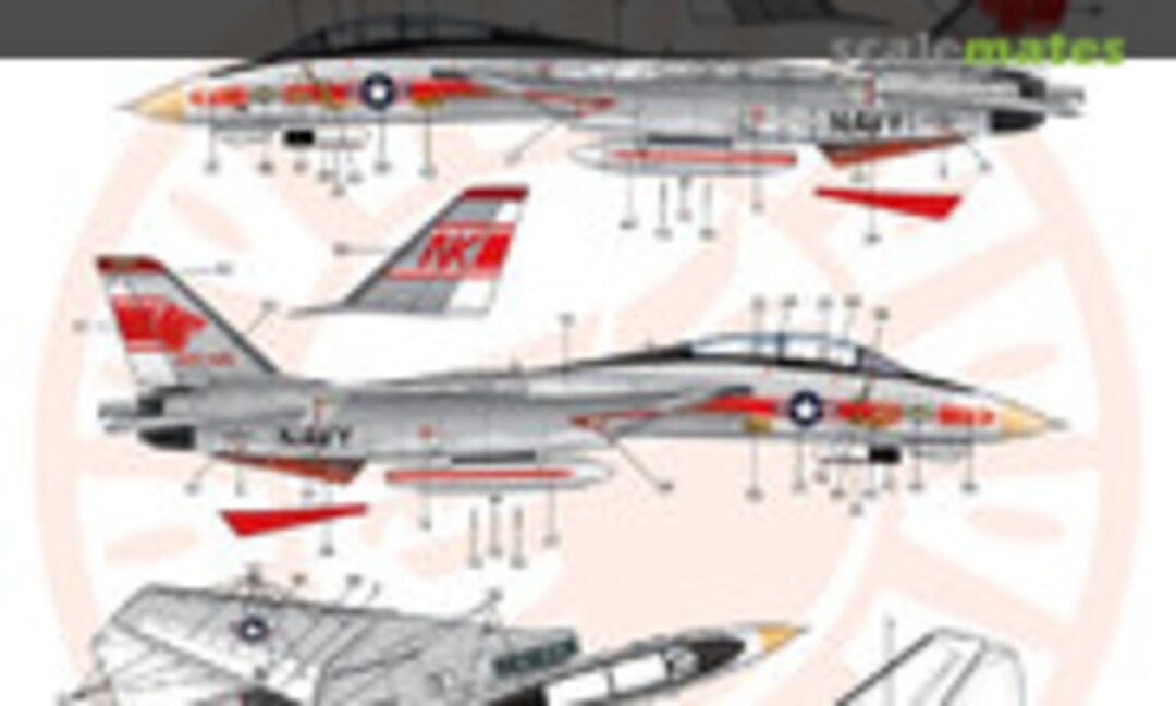 1:48 F-14A Wolfpack (Monokio WD48053) WD48053