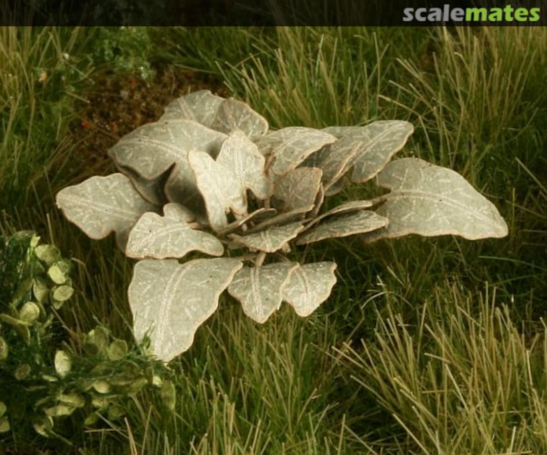 Boxart Burdock VG3-002 Model Scene