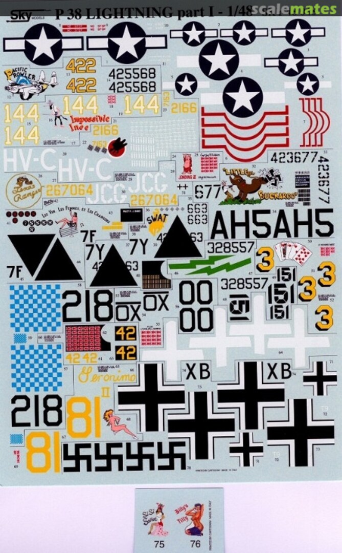 Boxart P-38 Lightning 48-048 Sky Models Boxart P-38 Lightning 48-048 Sky Models