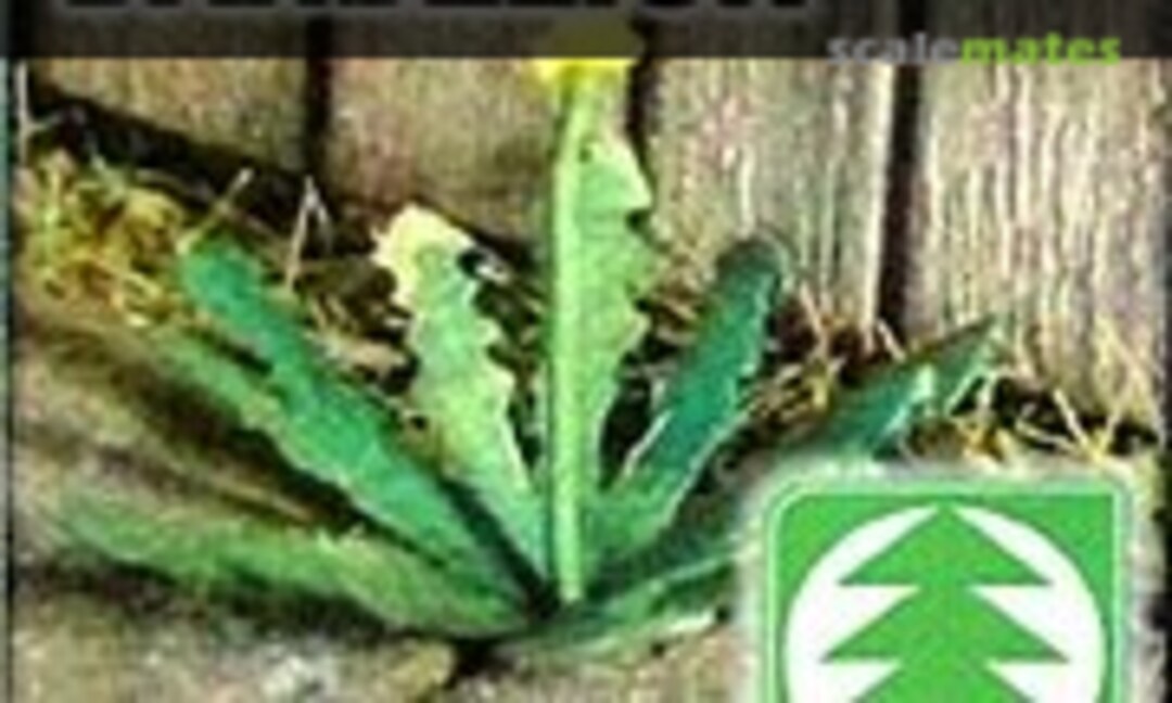 No Dandelion (Model Scene VG3-005) VG3-005