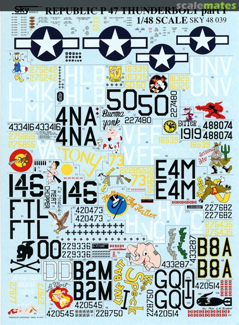 Boxart Republic P-47 Thunderbolt Part 1 48-039 Sky Models