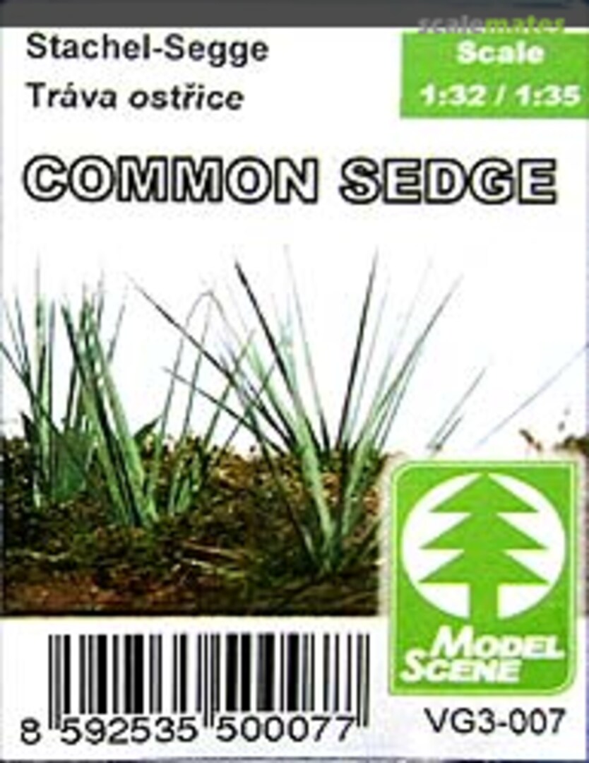 Boxart Common Sedge VG3-007 Model Scene Boxart Common Sedge VG3-007 Model Scene