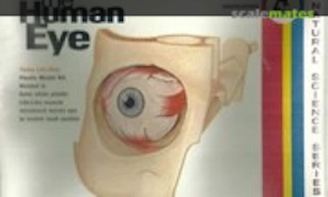 2:1 The Human Eye (Lindberg 1312) 1312