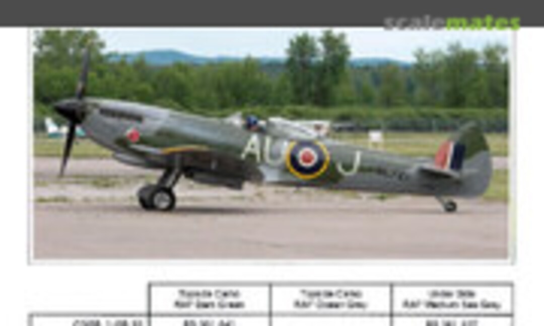 1:48 Spitfire Mk XVI (CanMilAir 343) 343