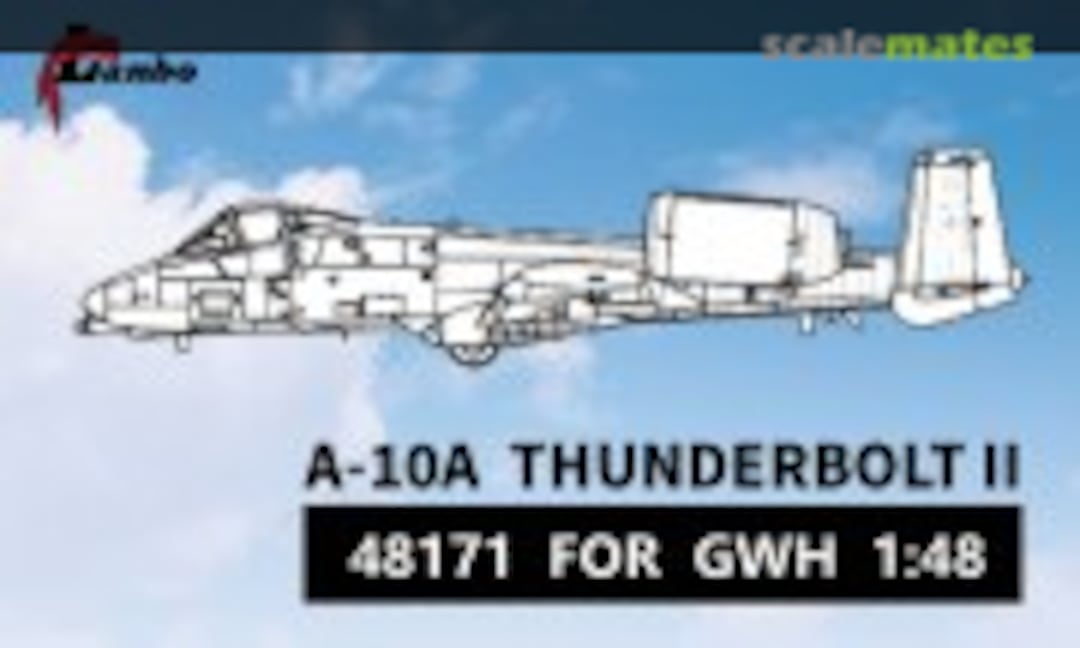 1:48 A-10A Thunderbolt II interior 3D decals (Lanbo Models 48171) 48171