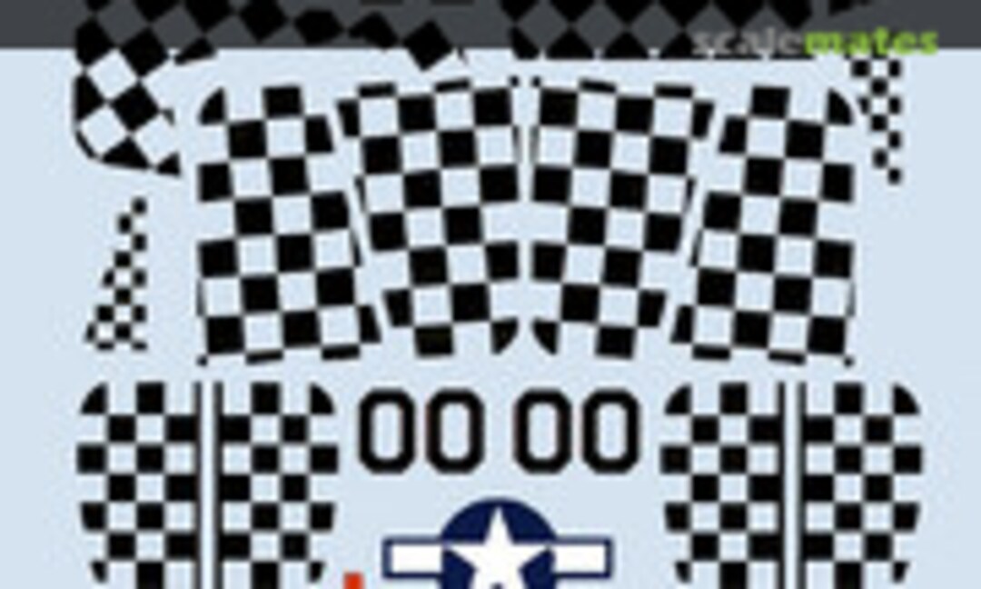 1:48 P-51D Mustang Checkertails (SuperScale International 48-678) 48-678
